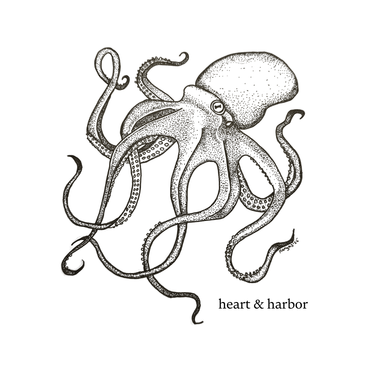 Original hand-drawn Deep Octopus illustration in black linework by Heart & Harbor