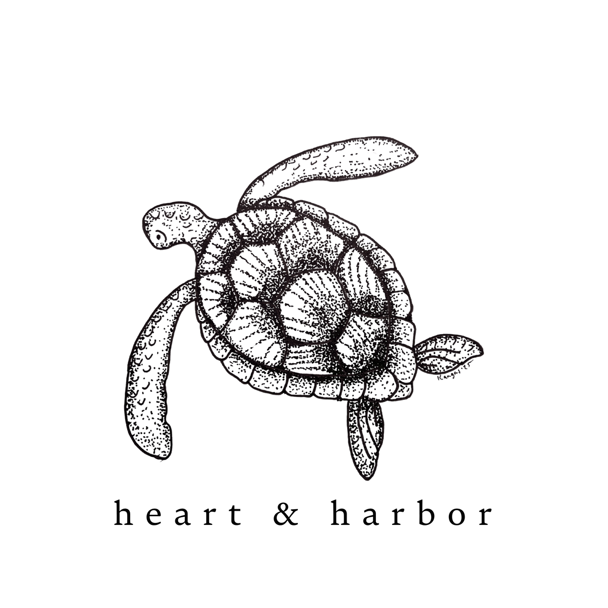 SLOW TIDE TURTLE