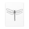 Dragonfly Canvas Art | Hand Drawn | Heart & Harbor | 3 Sizes