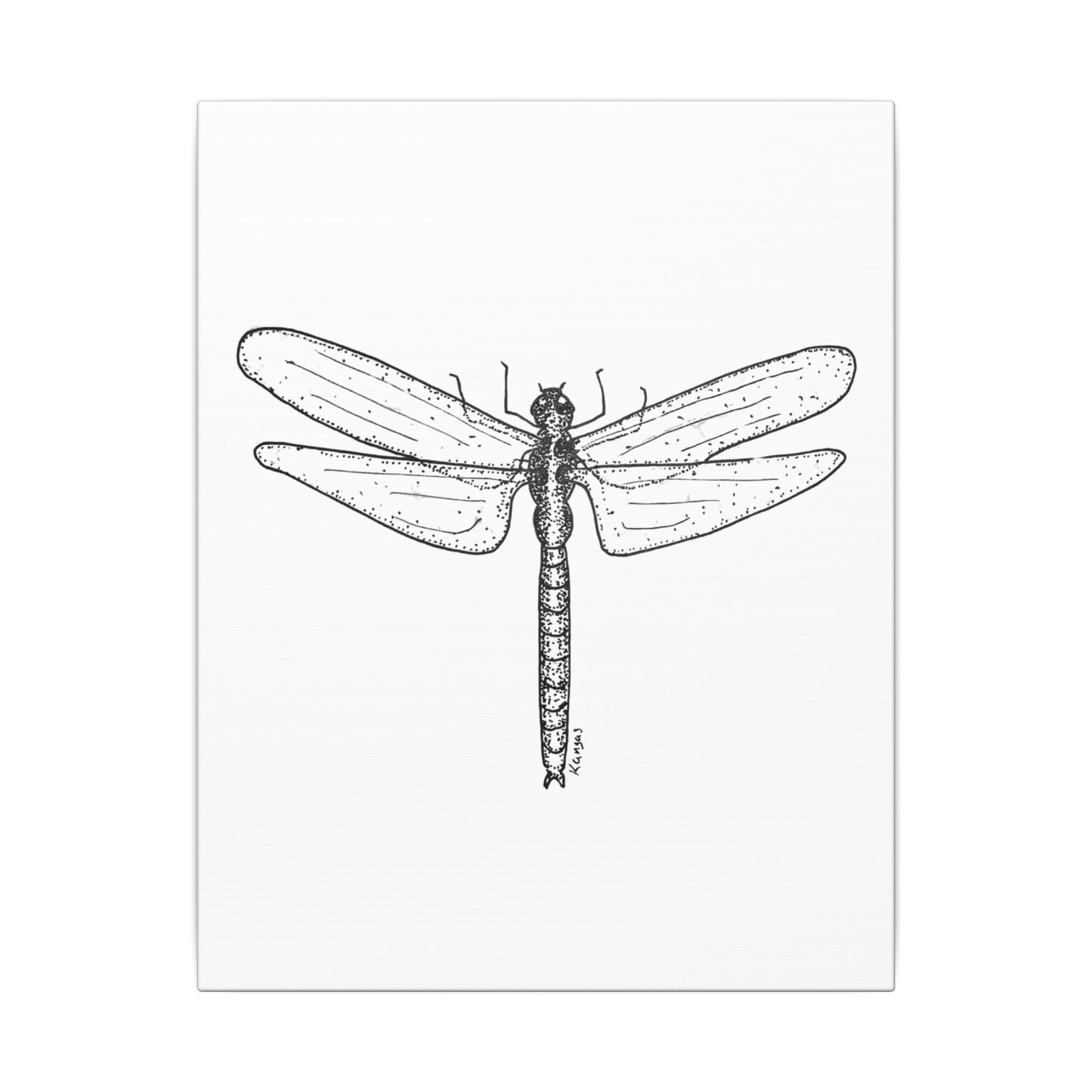 Dragonfly Canvas Art | Hand Drawn | Heart & Harbor | 3 Sizes