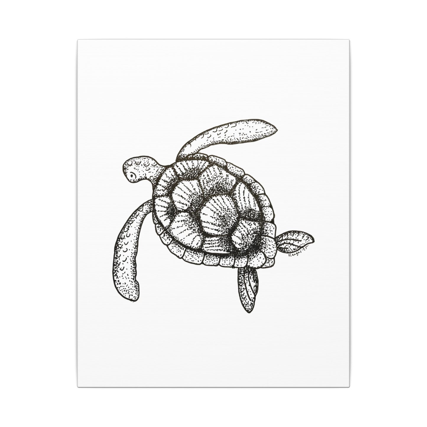 Sea Turtle Canvas Art | Hand Drawn | Heart & Harbor | 3 Sizes