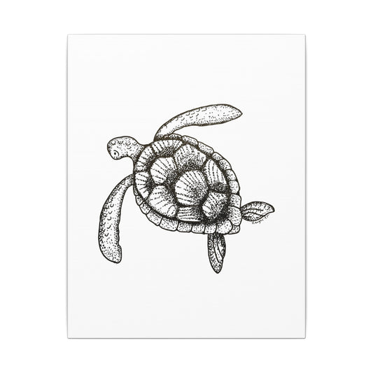 Sea Turtle Canvas Art | Hand Drawn | Heart & Harbor | 3 Sizes