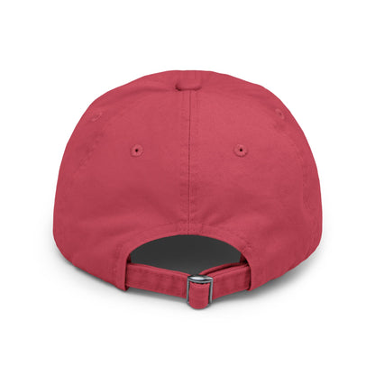 Turtle Hat -Distressed